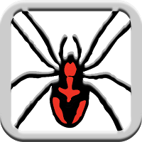 Silly Spiders Icon